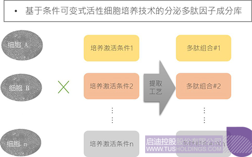 欧博ABG会员网址- abg欧博会员登录